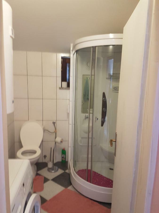 Sveti Vid-MiholjiceApartman Vil公寓 外观 照片